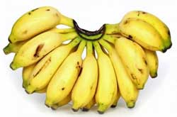 Small Kerala Bananas called Pazham
