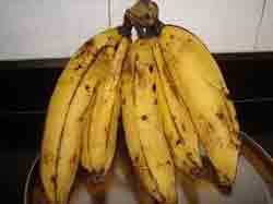 special variety of bananas are grown in Kerala